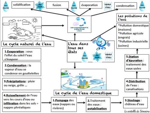 Carte mentale : L'eau dans tous ses états
lecartabledeseverine.fr